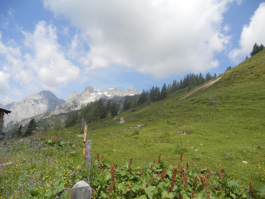 Vorderhof Διαμέρισμα Sankt Martin am Tennengebirge Εξωτερικό φωτογραφία