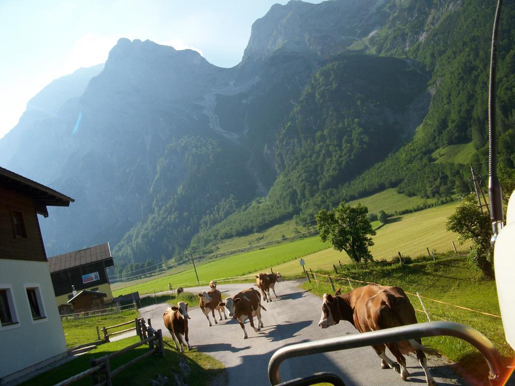 Vorderhof Διαμέρισμα Sankt Martin am Tennengebirge Εξωτερικό φωτογραφία